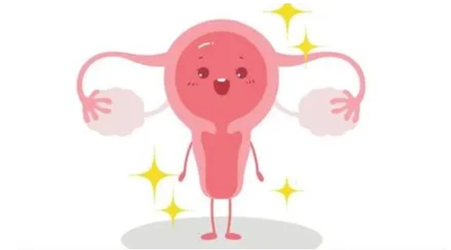 卵巢功能该如何判断？卵巢储备功能减退对生育有什么影响？卵巢功能会不会影响试管婴儿成功率？