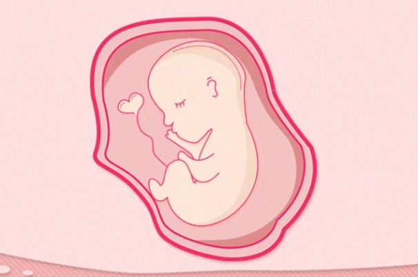 子宫异常能做试管婴儿吗？常见的子宫问题有哪些？试管前遭遇子宫病变是否需要提前处理？