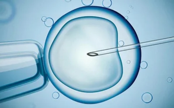 5以上的高龄女性做试管婴儿即使有优质胚胎也不建议直接移植？试管婴儿移植成功率与母体年龄有何关系？"