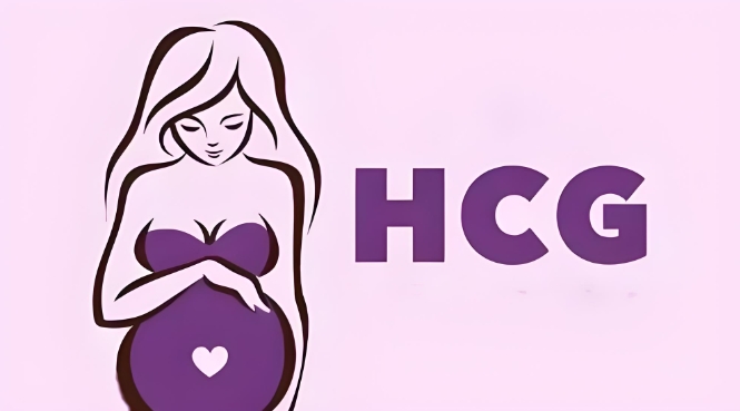 试管婴儿怀孕30天hcg正常值是多少？试管孕期hcg正常值对照表是怎样呢