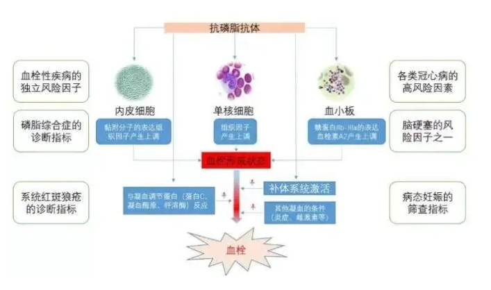 试管婴儿治疗中为何使用阿司匹林？阿司匹林在试管婴儿治疗中其具体作用是什么？