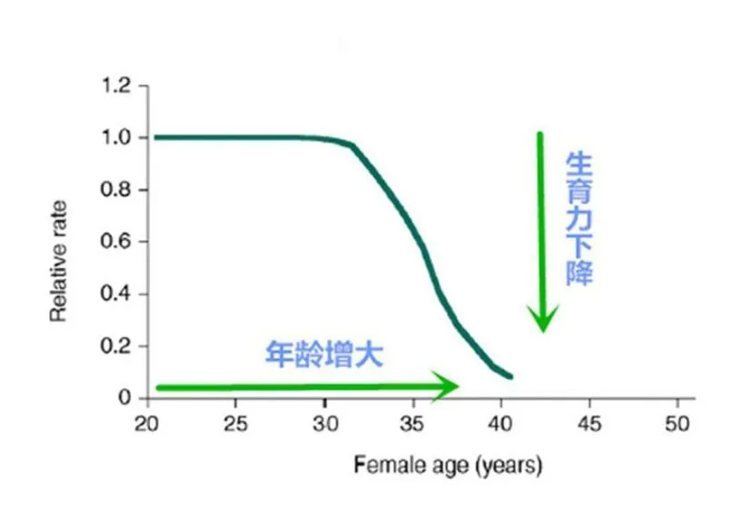 高龄女性的生育阻力究竟有哪些？试管婴儿技术如何帮助高龄女性提高生育成功率？