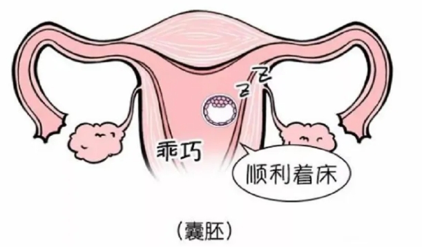 试管婴儿​移植后受精卵多久着床？试管婴儿​移植后着床是什么感觉？试管婴儿移植没有着床一般是什么原因？