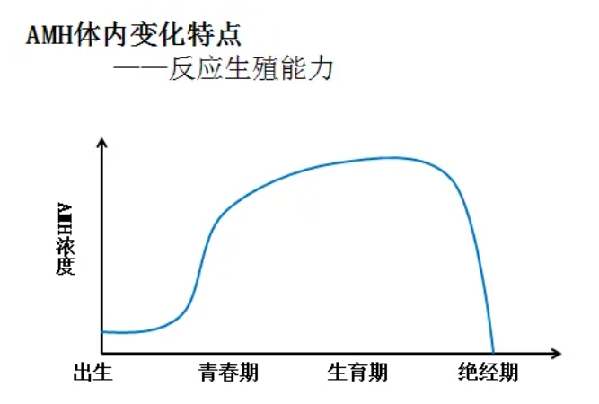 40+女性想快速抱娃做试管婴儿成功率高吗？高龄试管婴儿备孕移植几个胚胎比较好？