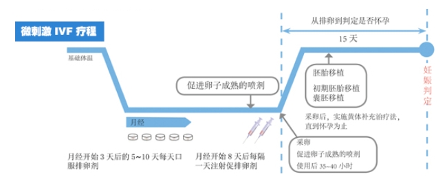 养卵对试管婴儿成功到底有多重要？如何才能提高试管婴儿成功率？