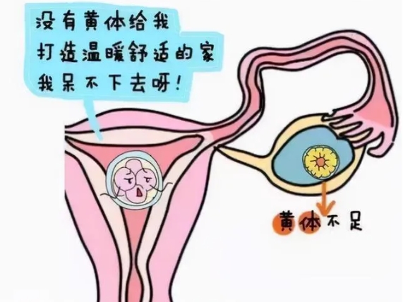 试管婴儿能帮助多囊卵巢综合征患者成功怀孕吗？多囊卵巢综合征患者怀孕后如何有效保胎？