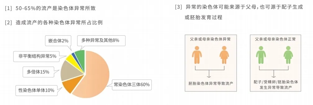 试管婴儿技术能否有效降低胚胎染色体异常的概率？如何通过适龄生育来减少胚胎染色体异常的风险？