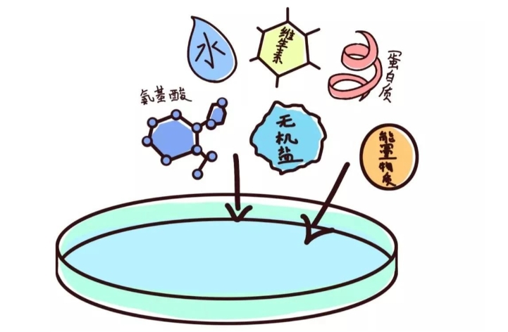 胚胎学家神秘的工作日常是什么样的？世界胚胎学家日 | 以爱之名，致敬生命的幕后英雄！