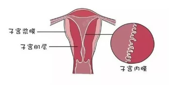 试管婴儿过程中哪些行为可能会伤害子宫？快来看看你都中招了吗