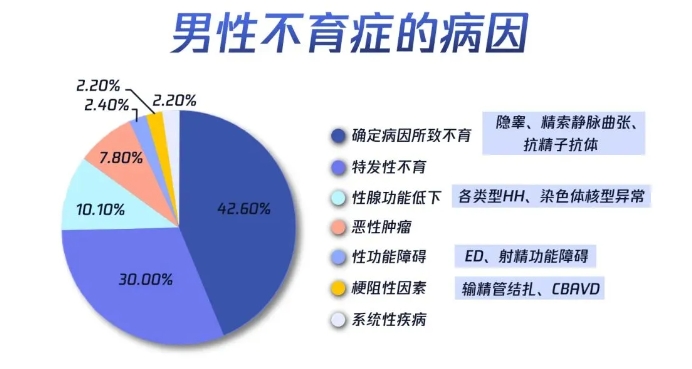 别再只怪女性！胎停问题，男性也需承担责任！试管婴儿技术能否解决由男性因素导致的胎停问题？