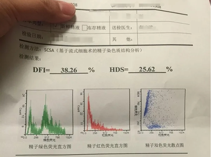 别再只怪女性！胎停问题，男性也需承担责任！试管婴儿技术能否解决由男性因素导致的胎停问题？