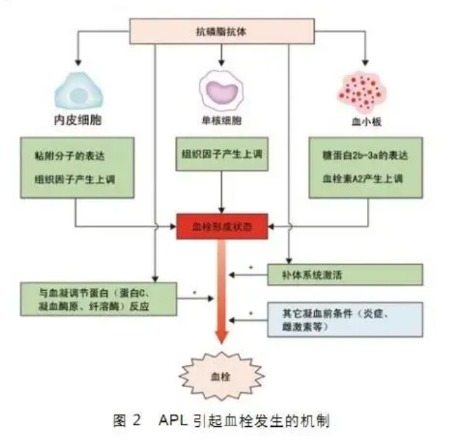 试管婴儿的过程中影响子宫内膜容受性的因素有哪些？如何提高子宫内膜容受性？