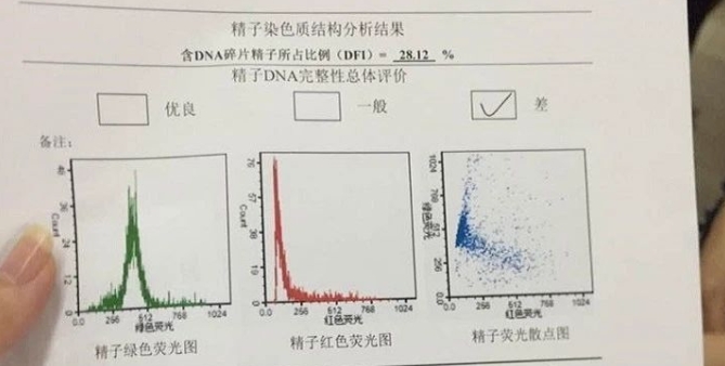 男性高龄对试管婴儿成功率有何影响？试管婴儿技术能否降低由高龄父亲引起的遗传风险？