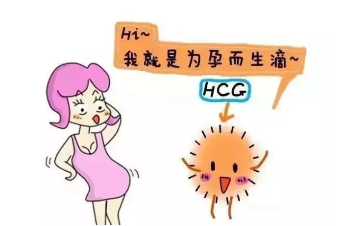 试管婴儿孕早期HCG翻倍不佳的原因有哪些？如何应对试管婴儿孕早期HCG翻倍不佳的问题？