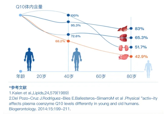 辅酶Q10如何挑选？试管婴儿技术中辅酶Q10的作用是什么？试管婴儿治疗期间正确补充辅酶Q10？