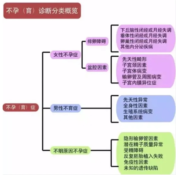 做输卵管造影疼不疼？试管都要做输卵管造影吗？做输卵管造影前后注意事项有哪些?