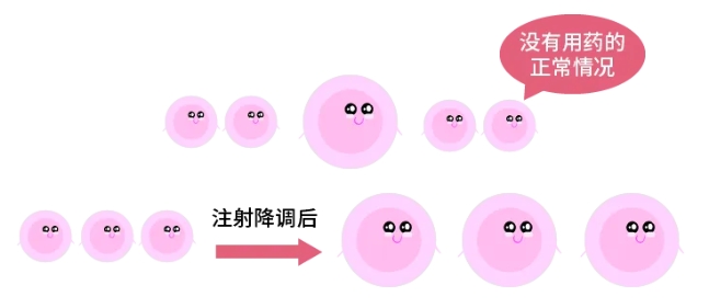 什么是试管婴儿降调？试管婴儿降调节期间可能会出现哪些情况？