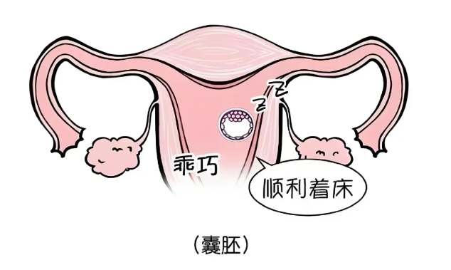 试管婴儿移植后第几天开奖比较合适呢？试管婴儿胚胎着床时间为何存在差异？