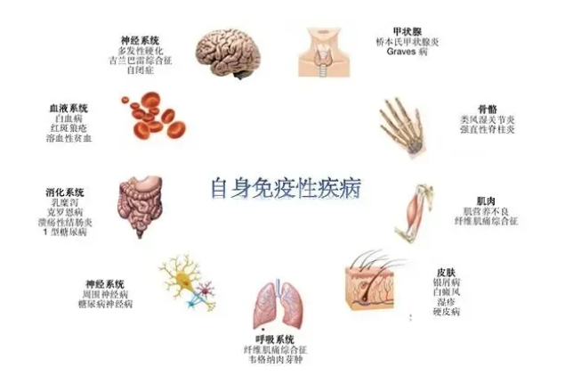 试管婴儿技术中反复移植失败的主要原因是什么？如何解决试管婴儿过程中的免疫因素导致的反复着床失败？