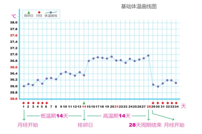 怎样才能算不孕? 哪些因素会导致不孕？积极备孕却怀不上到底是哪里出了问题？