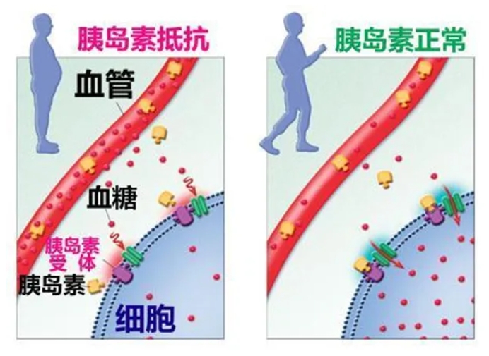 试管婴儿技术如何帮助高龄女性提高卵子质量？高龄女性在进行试管婴儿治疗时面临哪些卵子质量的挑战？