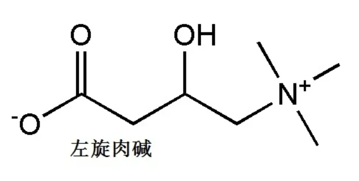 试管婴儿技术如何帮助高龄女性提高卵子质量？高龄女性在进行试管婴儿治疗时面临哪些卵子质量的挑战？