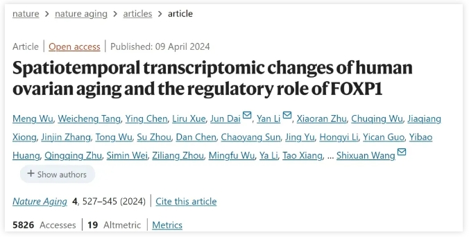 AMH值是什么？它与女性生育力有何关系？ 提高AMH值的两个主要方向是什么？