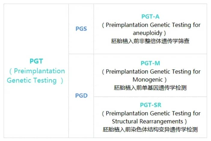 染色体异常的胚胎会着床吗？试管婴儿技术如何帮助有染色体异常风险的夫妻？