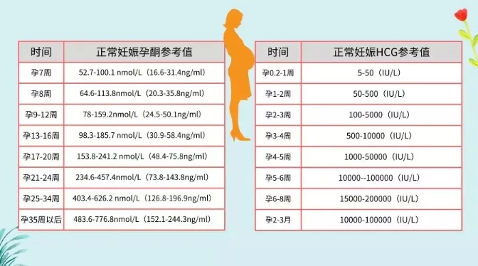 HCG从哪里来？如何通过HCG监测怀孕进程？HCG数值变化对孕妇有何影响？