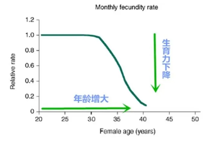 高龄女性备孕面临哪些生育难题？高龄女性做试管婴儿的成功率有多高？