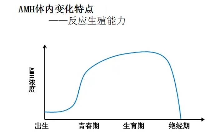 高龄女性备孕面临哪些生育难题？高龄女性做试管婴儿的成功率有多高？