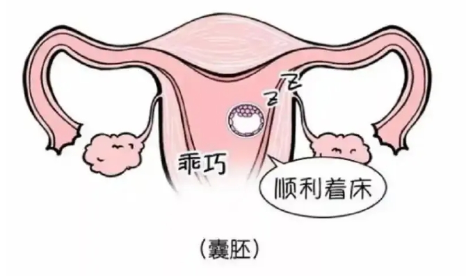 什么是流产？流产通常会有哪些症状？流产和生化妊娠有什么不同？