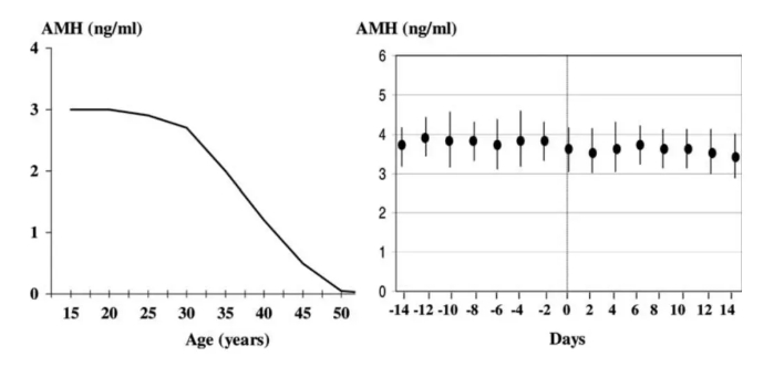 抗苗勒氏管激素AMH从哪来？如何通过功能医学干预提升AMH以改善生育力?