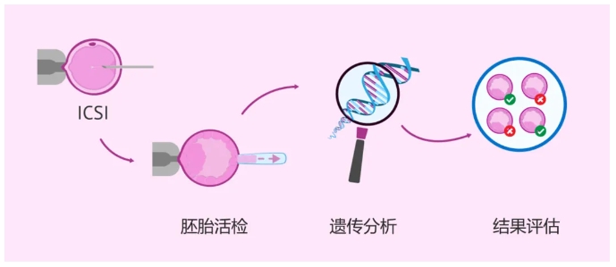 三代试管技术筛查查的是什么? 试管婴儿过筛的囊胚为什么还会胎停？