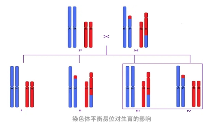 三代试管技术筛查查的是什么? 试管婴儿过筛的囊胚为什么还会胎停？