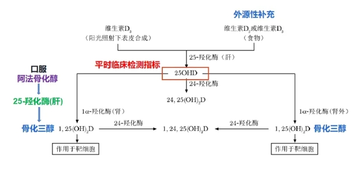 孕期应该如何正确补充维生素D？服用维生素D时有哪些注意事项？