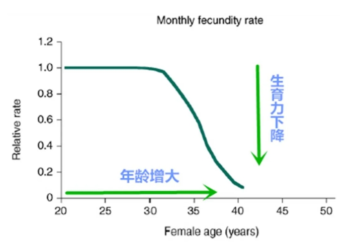 高龄女性怎么如何有效的备孕？高龄孕妇怀孕的风险有哪些？高龄产妇孕期注意事项有哪些？