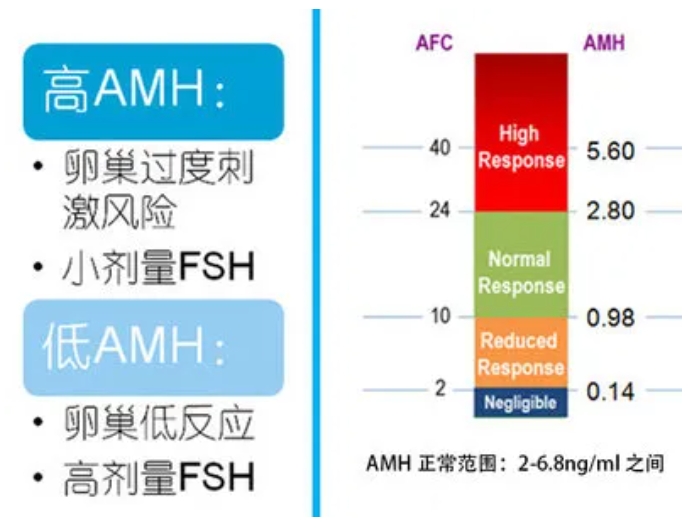 高龄女性怎么如何有效的备孕？高龄孕妇怀孕的风险有哪些？高龄产妇孕期注意事项有哪些？