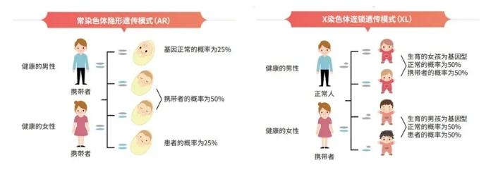 遗传病携带者筛查和孕前检查有什么区别？三代试管婴儿助孕对遗传病携带者有何帮助？