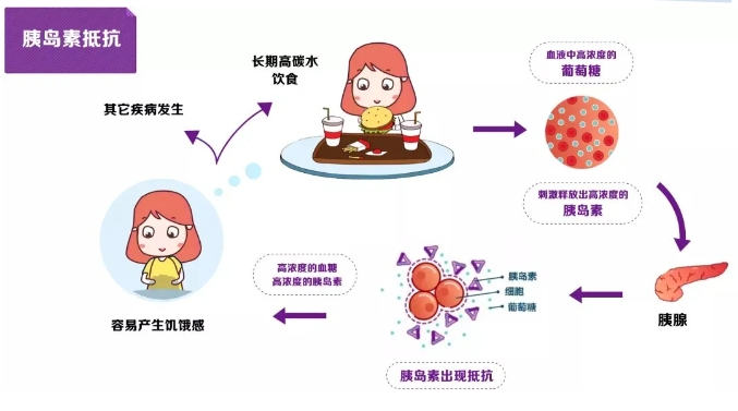 二甲双胍是否适用于所有多囊患者？多囊患者如何选择适合自己的治疗方案？