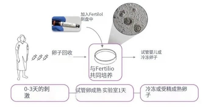 Fertilo技术是什么？Fertilo试管新技术真的能解决大龄卵少的难题？试管婴儿技术能否提高后代的生育力和健康？