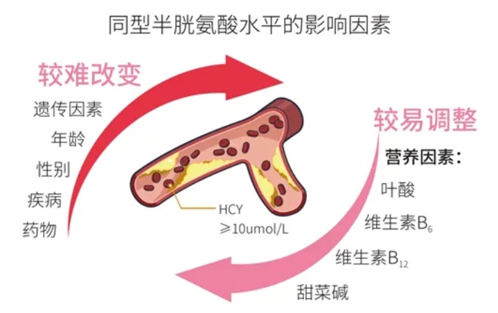 什么是胰岛素抵抗？胰岛素抵抗比高龄更严重？胰岛素抵抗对备孕的影响有哪些？