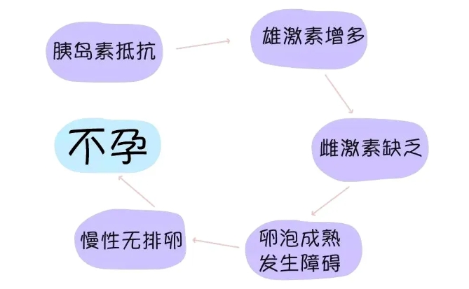 什么是胰岛素抵抗？胰岛素抵抗比高龄更严重？胰岛素抵抗对备孕的影响有哪些？