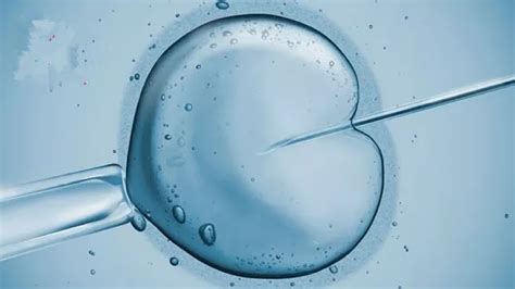 什么是空卵泡综合征？空卵泡综合征发生的原因是什么？做试管婴儿遭遇空卵泡综合征怎么办？