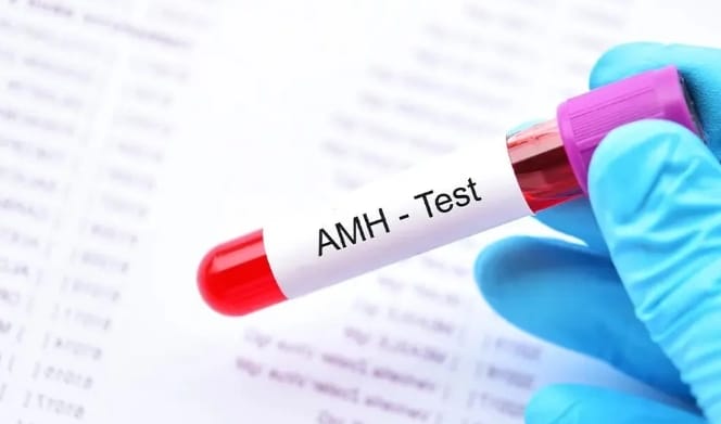 AMH值低≠不孕！试管婴儿前的AMH检查可以有效评估高龄女性生育潜力