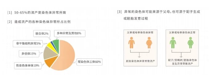 试管婴儿过程中哪些关键因素可能导致胚胎染色体异常？发生胚胎染色体异常下次备孕应该怎么做？