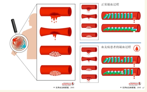 试管婴儿来“助攻”，让中秋更圆满！试管婴儿技术如何帮助不孕不育家庭实现生育梦想？